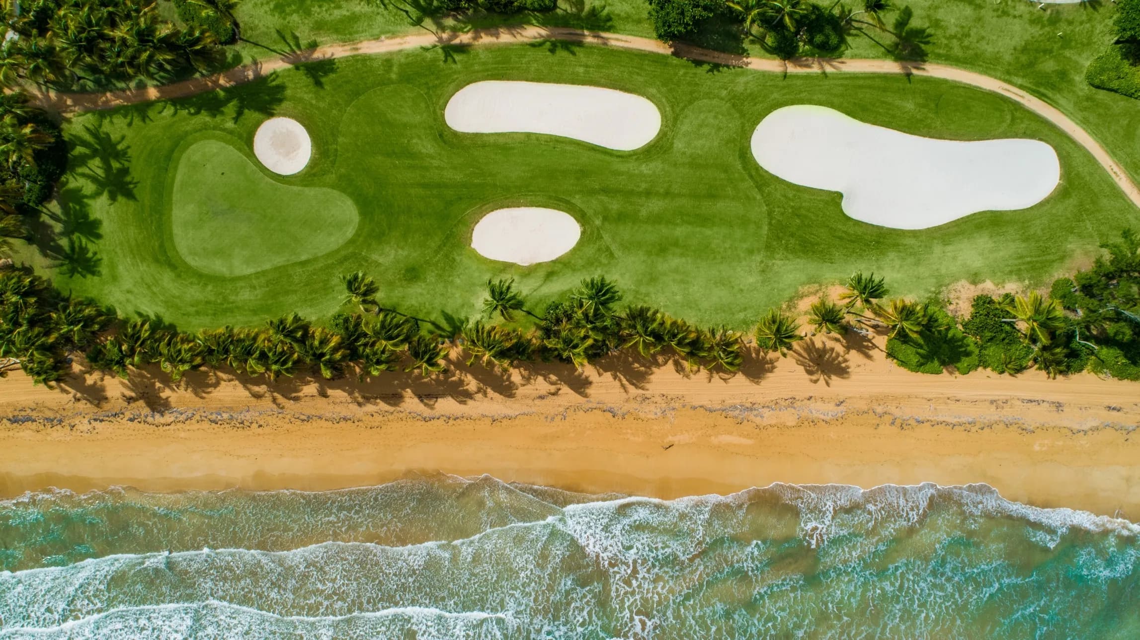 Championship Golf